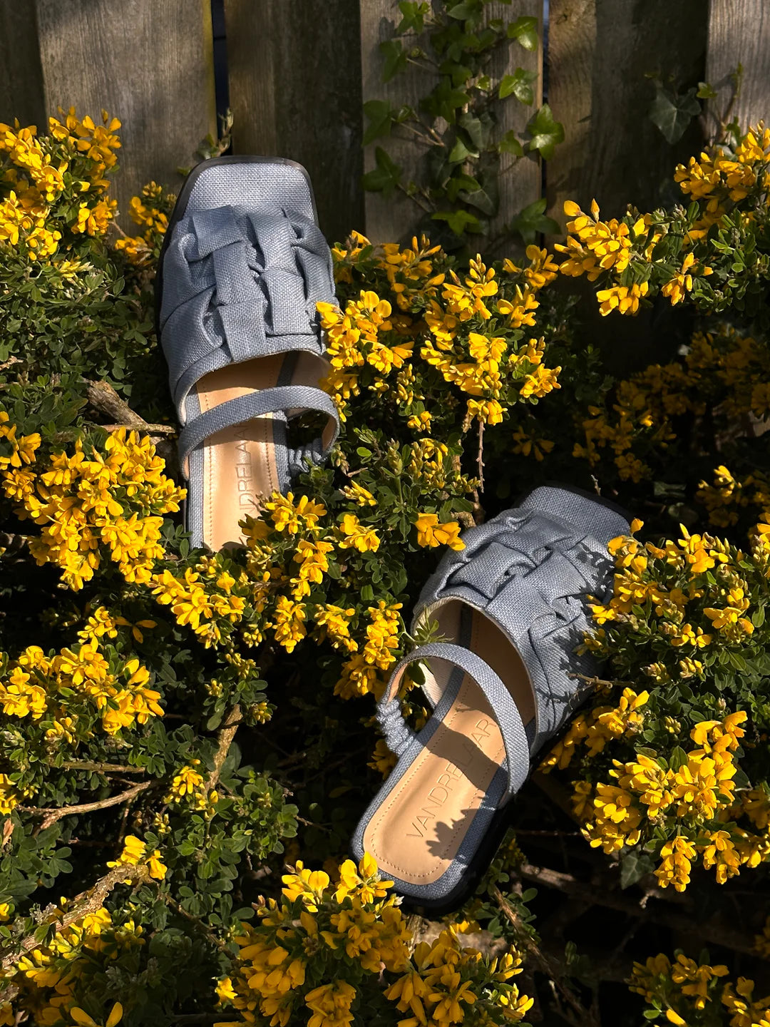 What are vegan shoes made of Are vegan shoes sustainable VANDRELAAR